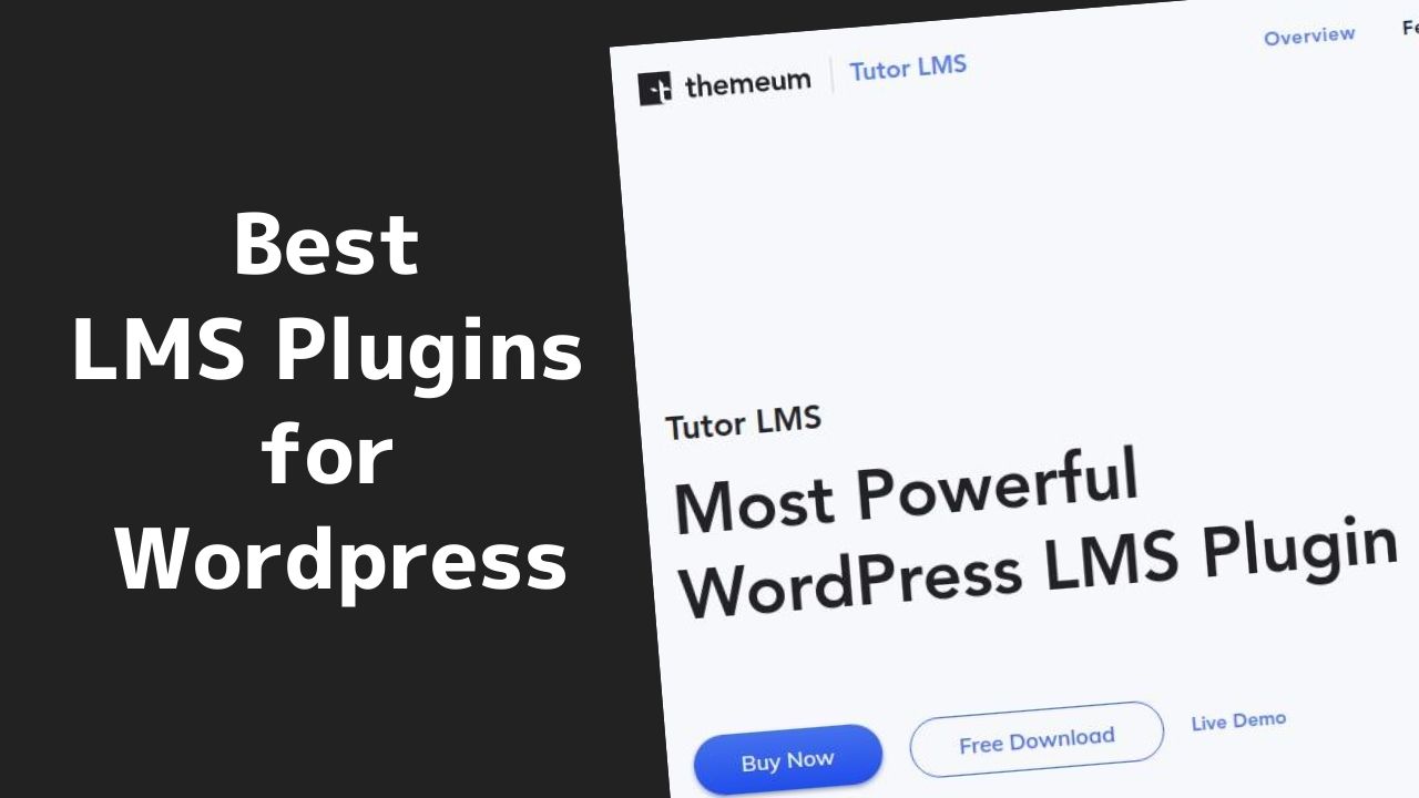 wordpress lms plugins